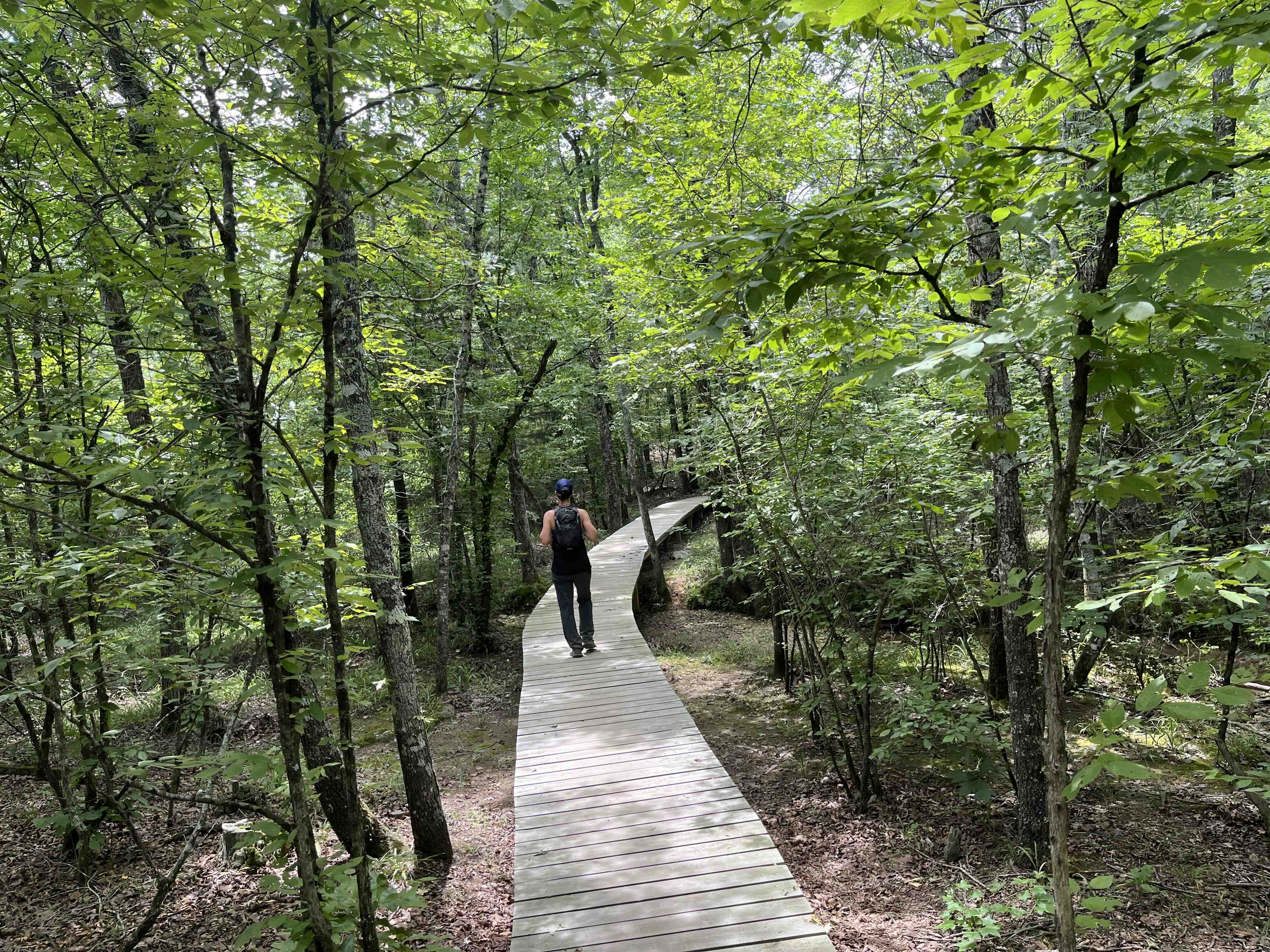 Encounter nature at Blue Mountain Natural Area