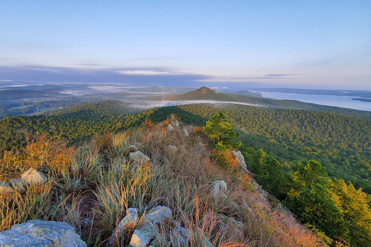 Wide view of hills covered in forests in the distance with rocks and tall grasses between them in the foreground.