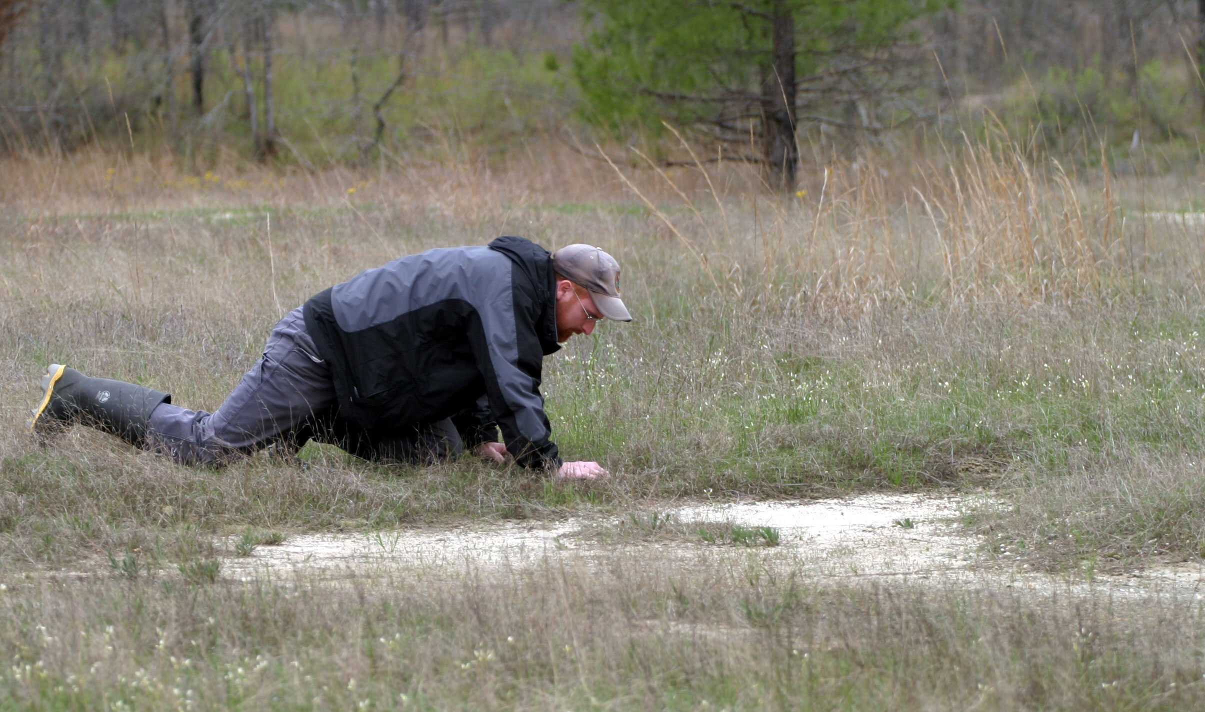 22 new plant species for ANHC since 1973