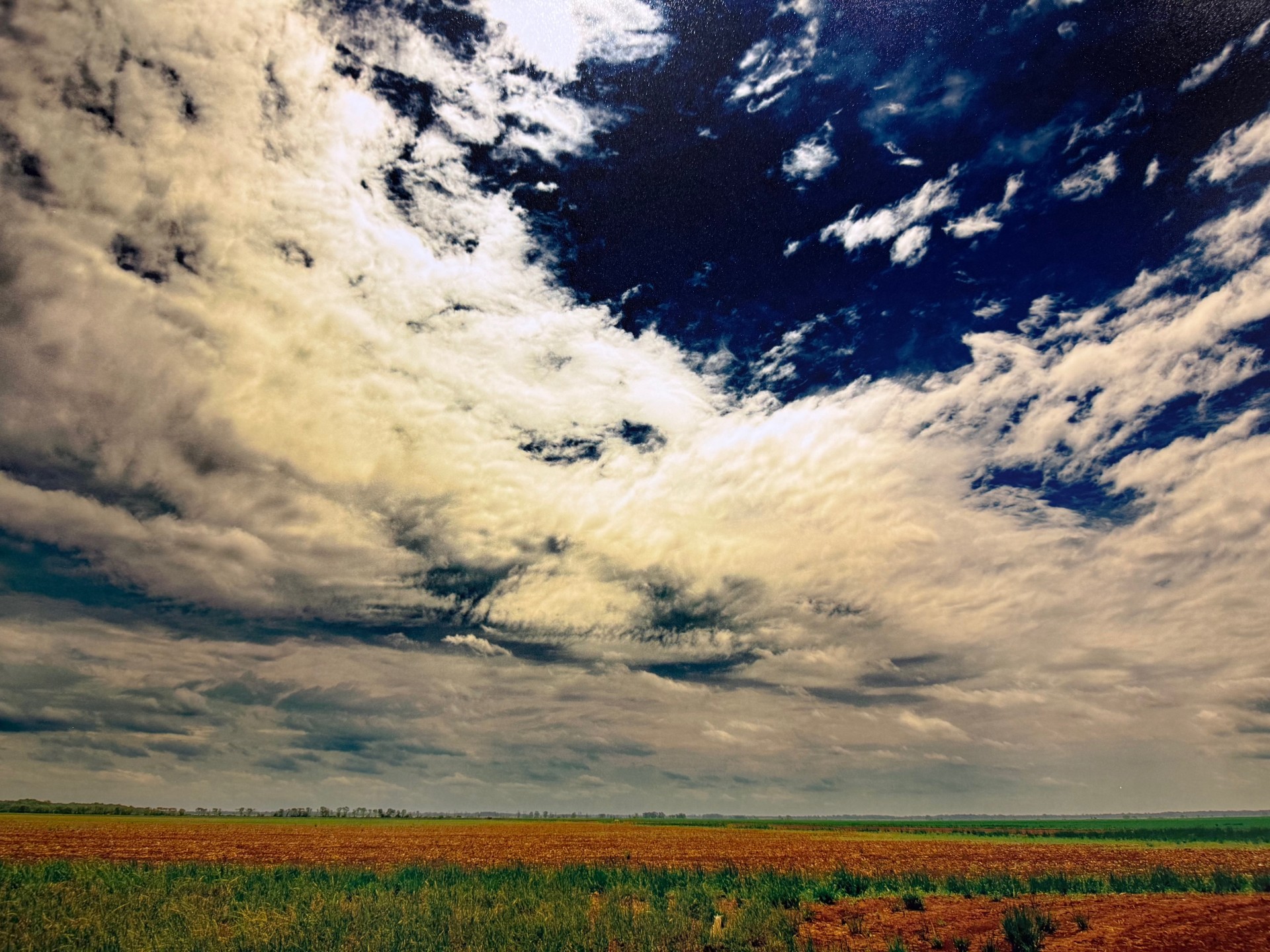 Photograph of a large field in Arkansas with a bright blue sky covered in white clouds.