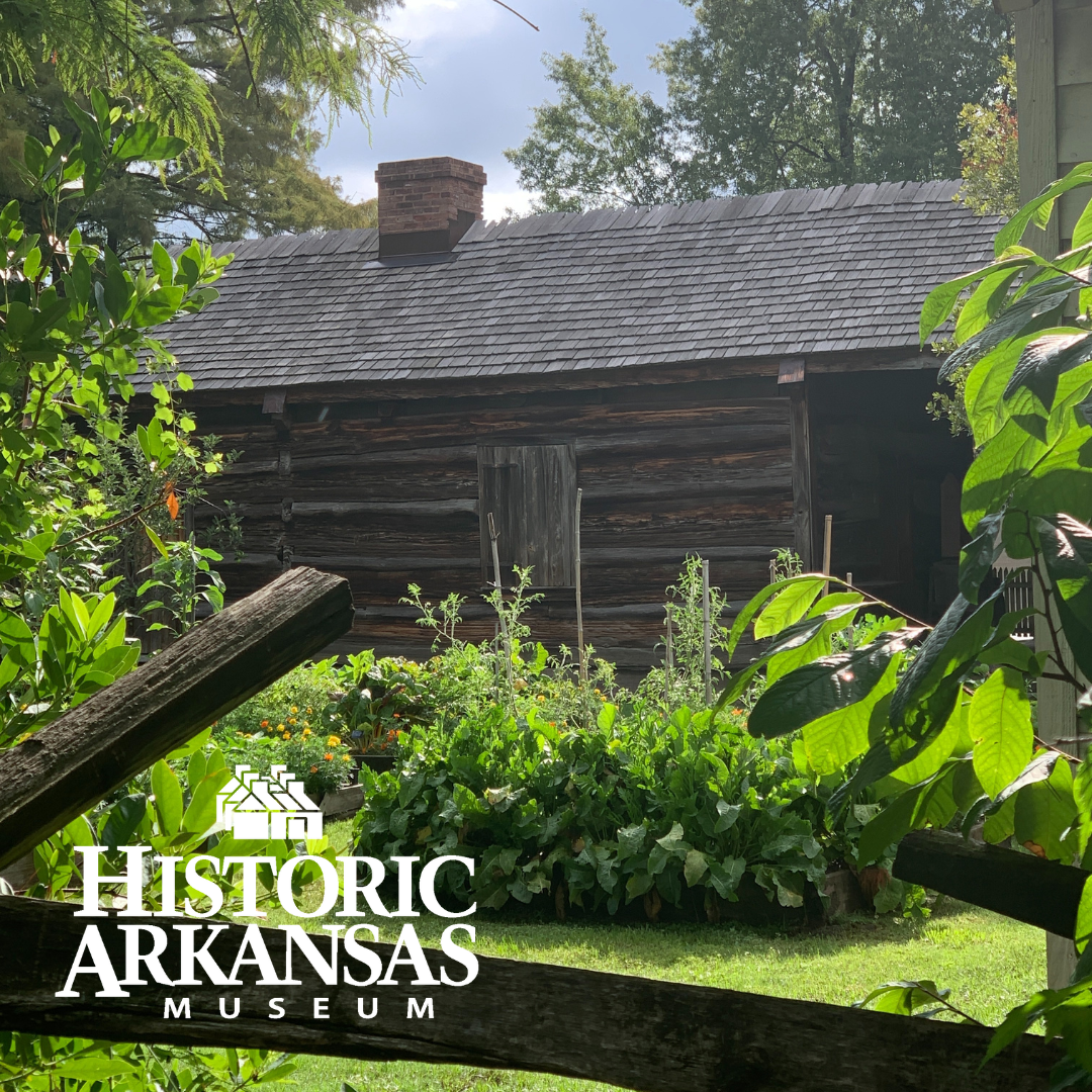 Chimney Swifts take up temporary residence at Historic Arkansas Museum